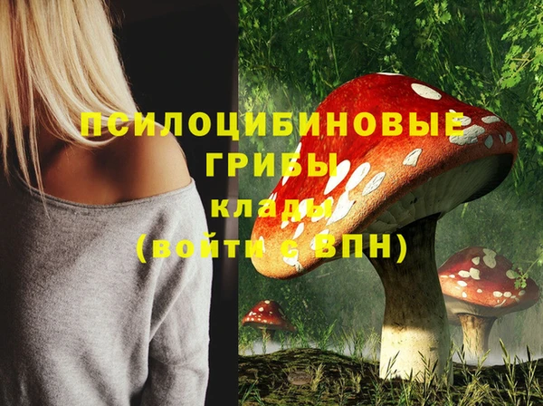 ALPHA PVP Богородск