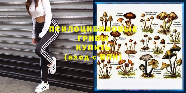 ALPHA PVP Богородск