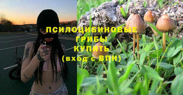 2c-b Богданович