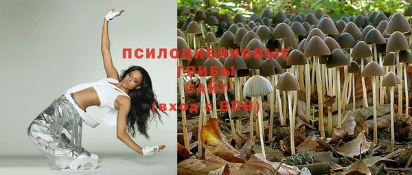 метадон Богородицк