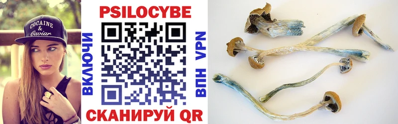 Псилоцибиновые грибы GOLDEN TEACHER Тимашёвск