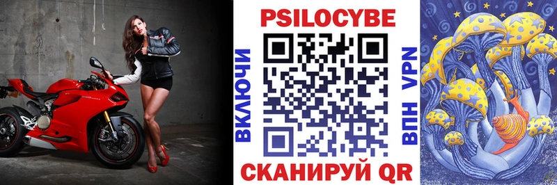 кракен зеркало  где продают   Тимашёвск  Псилоцибиновые грибы GOLDEN TEACHER 